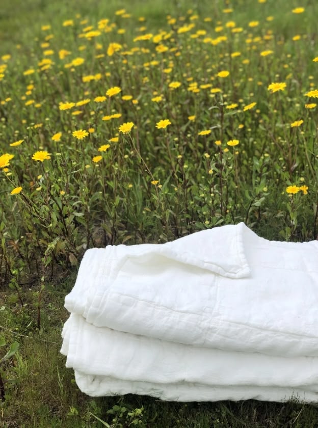 Grass and white blanket